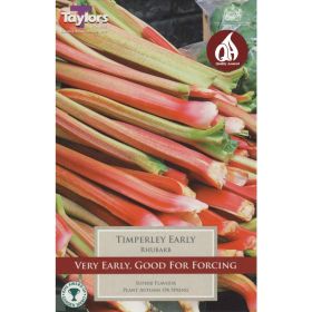 Rhubarb Timperley Early - Pack of 1